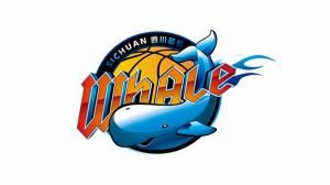  CBA恐惊现19队参赛！四川男篮生死一线只有两条出路：卖队或托管